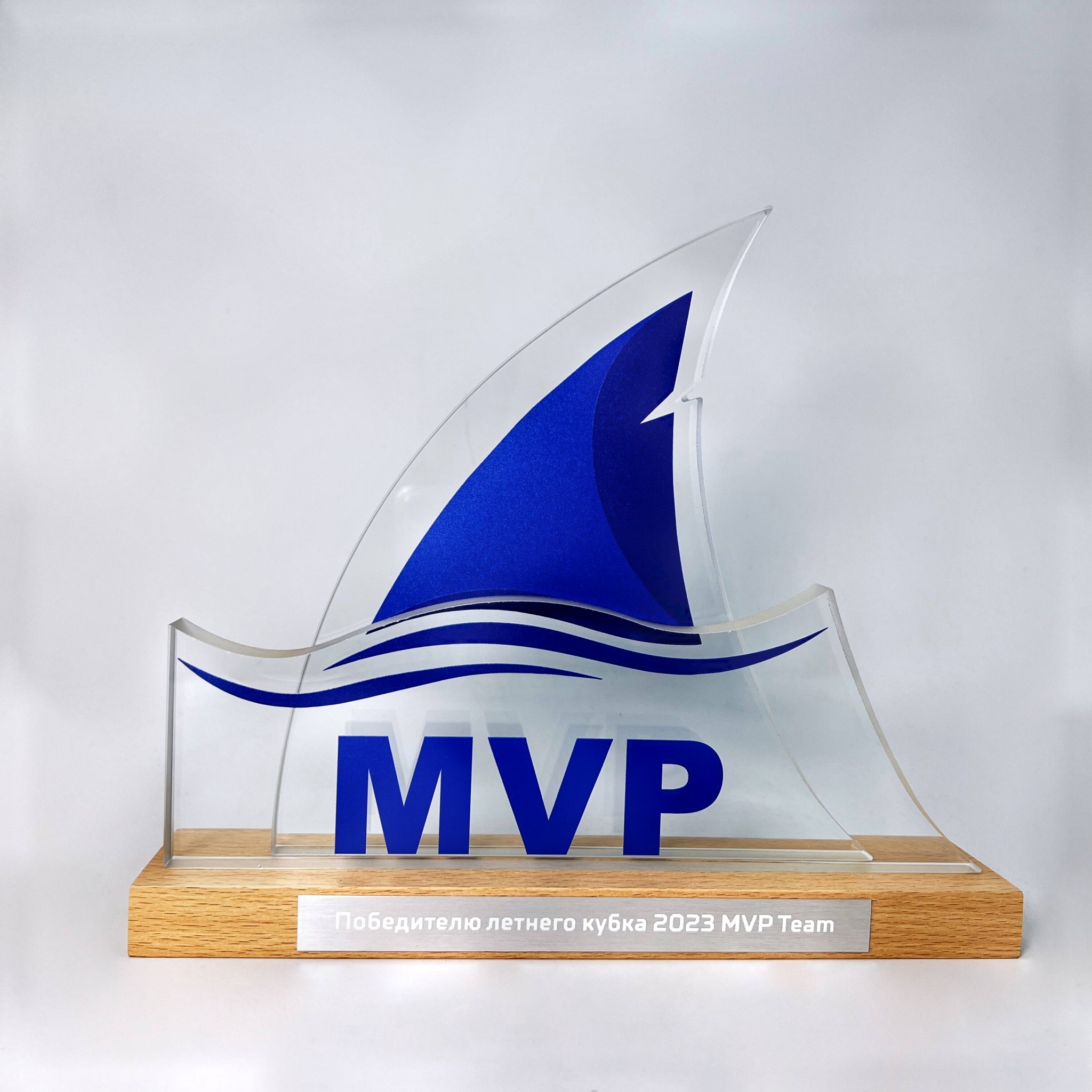 Награда из стекла и дерева "Победитель летнего кубка 2023 MVP Team"